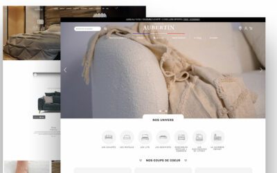 Pourquoi moderniser sa boutique en ligne e-commerce