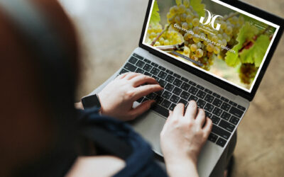 Idées de tarifs d’une agence web digitale