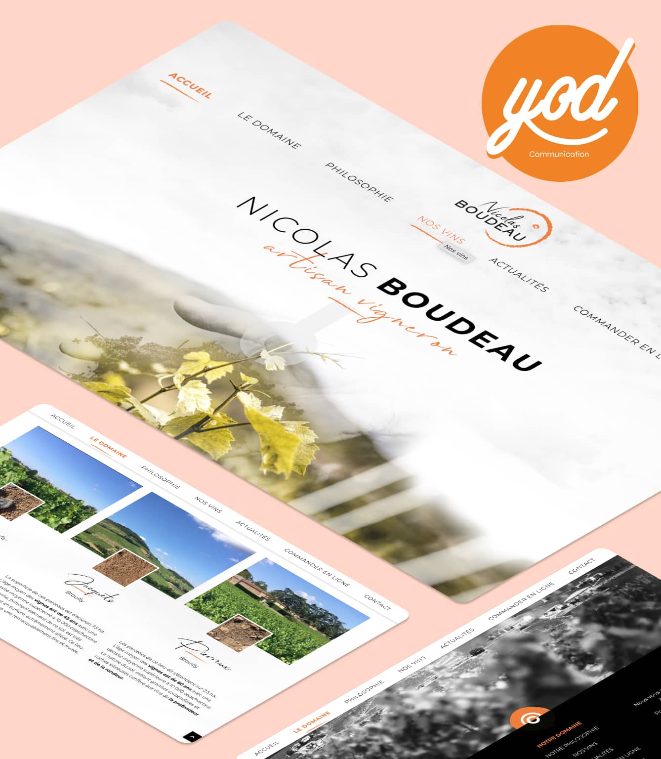 creation site vigneron nicolas boudeau