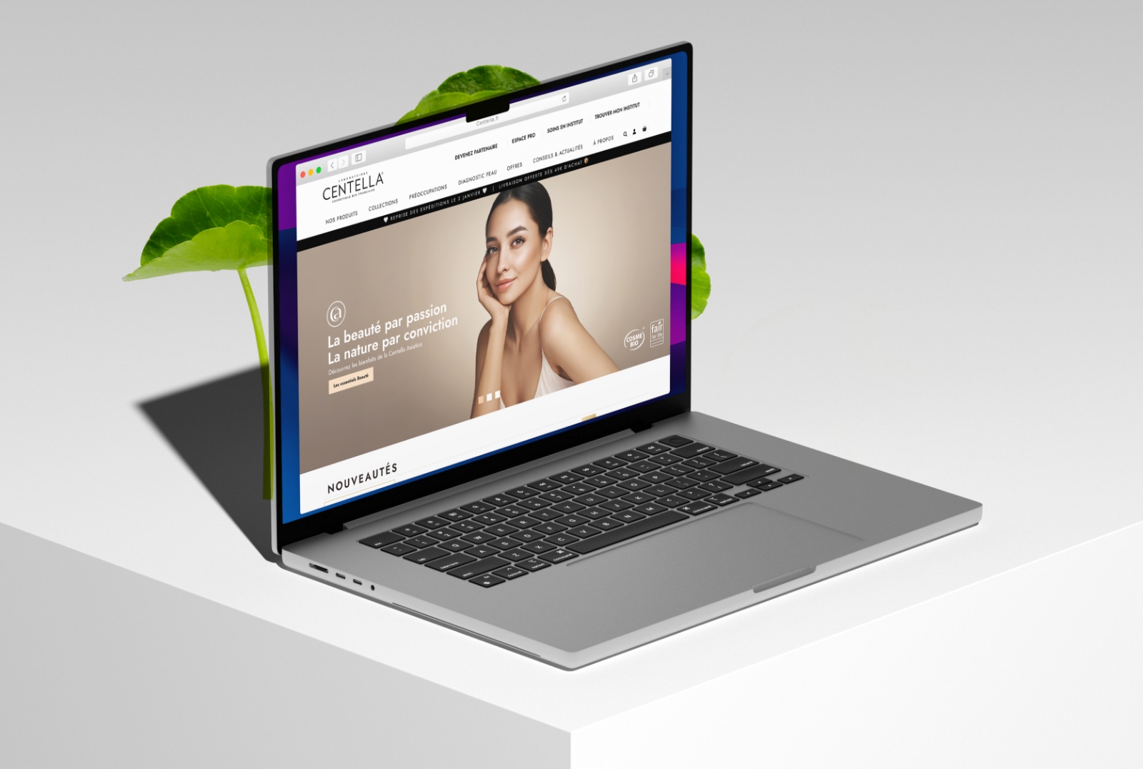 Centella Refonte Identité Graphique Webdesign ecommerce